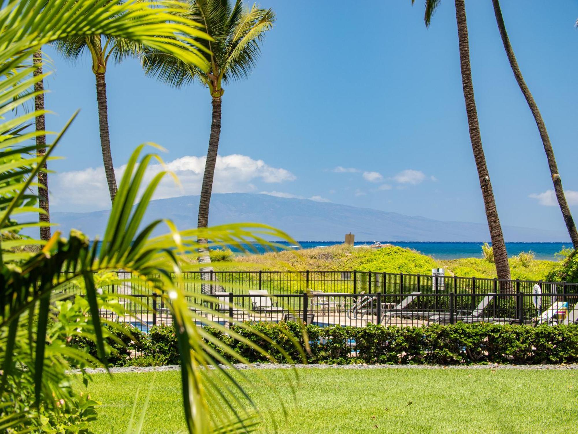 Wbh D115 Aloha Kai - Garden View Suite Near The Ocean Kihei Esterno foto